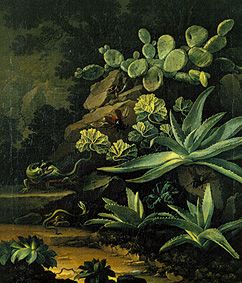 Cactuses and lizards de Elias van den Broeck