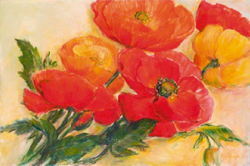 Splendid Poppies de Elisabeth Krobs