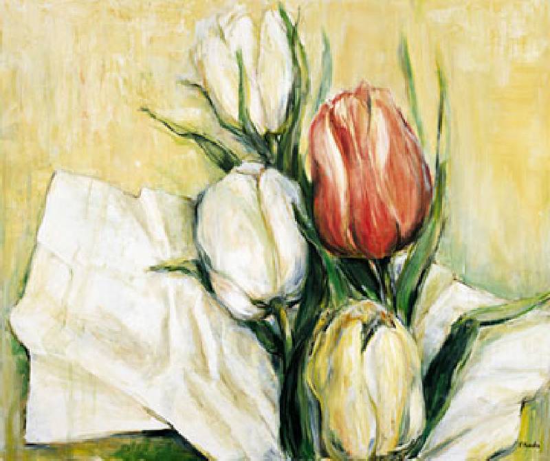 Tulipa Antica de Elisabeth Krobs