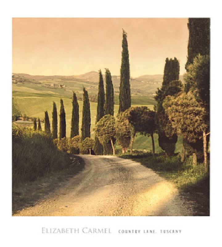 Country Lane, Tuscany de Elizabet Carmel