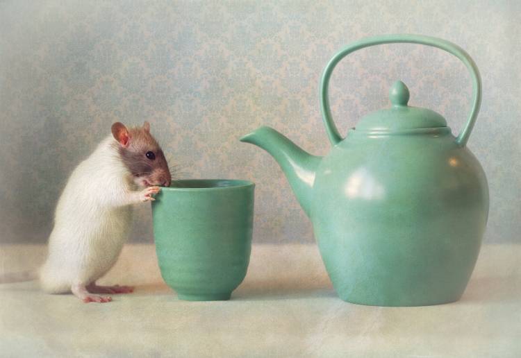 The Teapot de Ellen Van Deelen