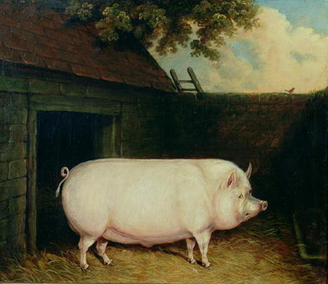 A Pig in its Sty de E.M. Fox