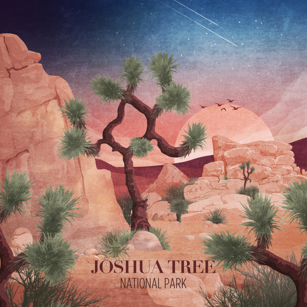 Joshua Tree de Emel Tunaboylu