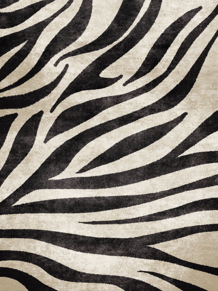 Zebra de Emel Tunaboylu