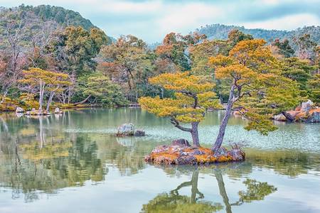 Japanese Garden