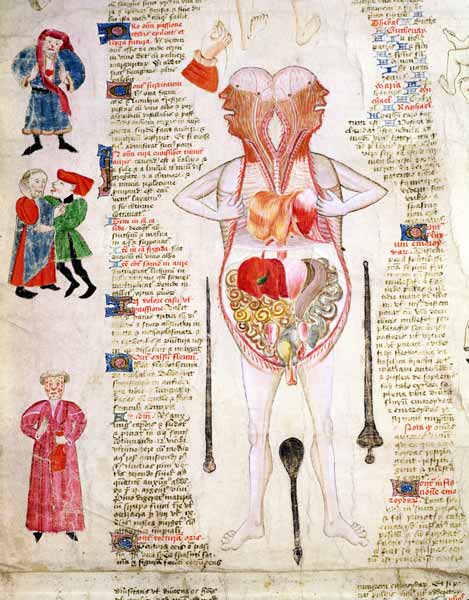 Anatomical diagram, from ''De arte phisicali e de cirurgia'' John Arderne de English School