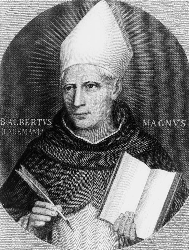 St Albertus Magnus de English School