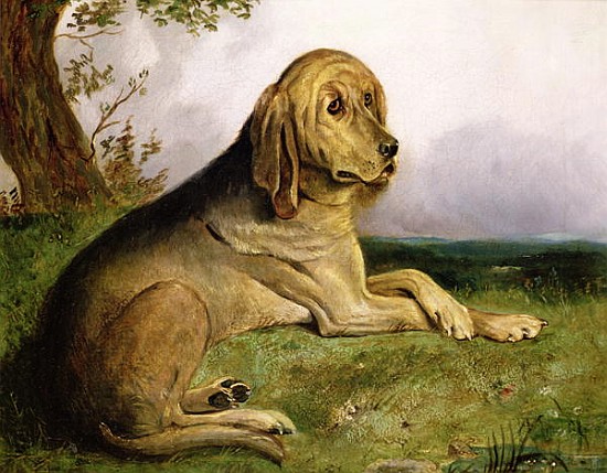 A Bloodhound in a Landscape de English School