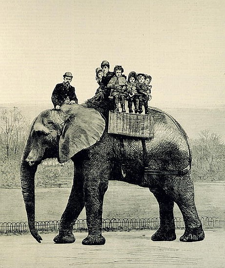 A Farewell Ride on Jumbo, from ''The Illustrated London News'', 18th March 1882 de English School
