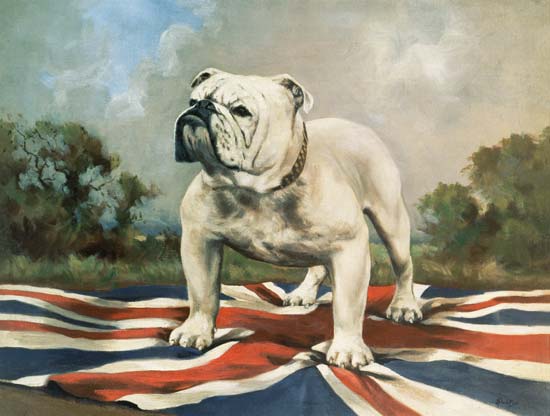 British Bulldog de English School