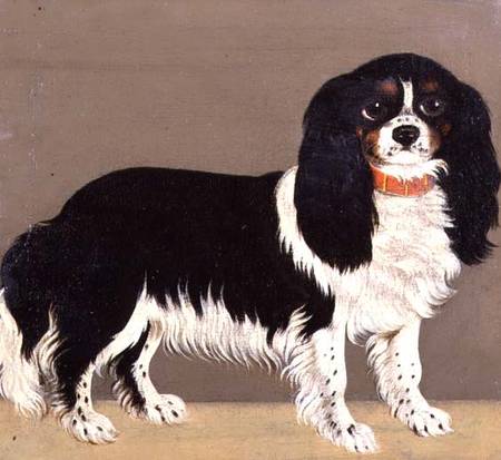 A Cavalier King Charles Spaniel with Puppies (pair of 64046) de English School