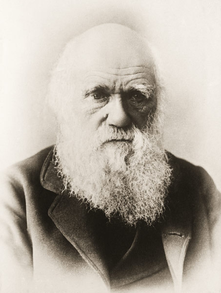 Charles Darwin (litho)  de English School