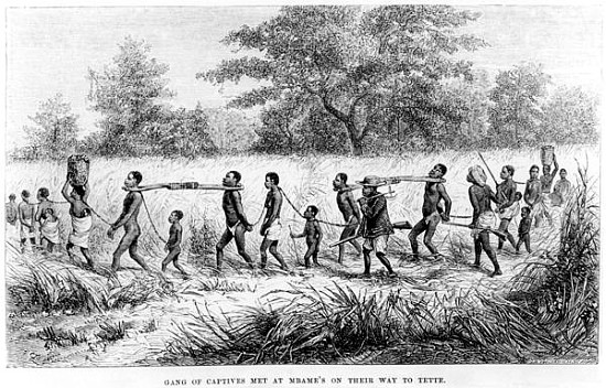 Gang of Captives Met at Mbame''s on their way to Tette; engraved by Josiah Wood Whymper (1813-1903) de English School