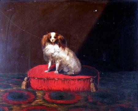 A King Charles Spaniel on a red cushion, Provincial School de English School