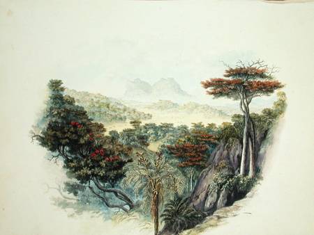 The Mountains, Ceylon  on de English School