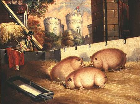 Three Pigs with Castle in the Background de English School