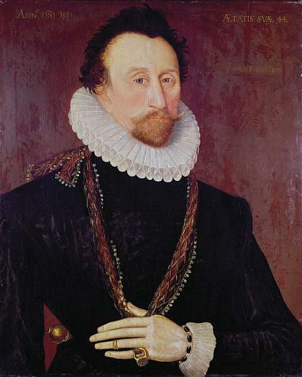 Portrait of Sir John Hawkins (1532-95) 1581 de English School