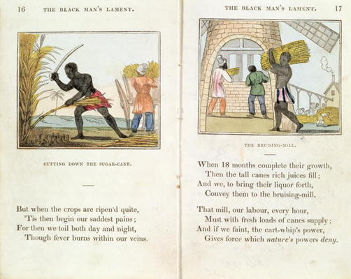 Illustration for the 'Black Man's Lament or How to Make Sugar' by Amelia Opie (1769-1853) 1813 (colo de English School, (19th century)