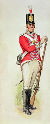 British soldier in Napoleonic times carrying a musket (w/c) de English School, (19th century)