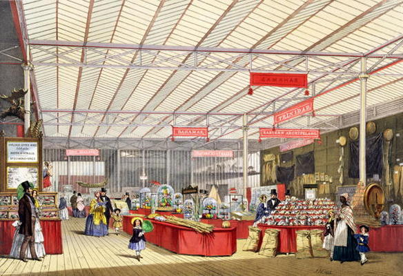 Colonial Produce in the Great Exhibition of 1851, from Dickinson's Comprehensive Pictures (coloured de English School, (19th century)