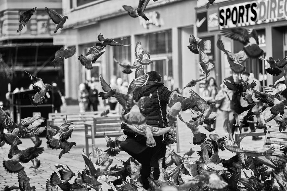 Feeding the pigeons de Enrico Zabeo