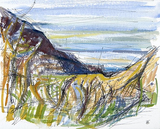 Towards Marsland Mouth, North Devon (pen and ink and and on paper) de Erin  Townsend