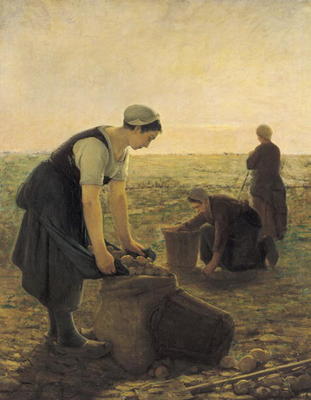 The Potato Harvest (oil on canvas) de Ernest Masson