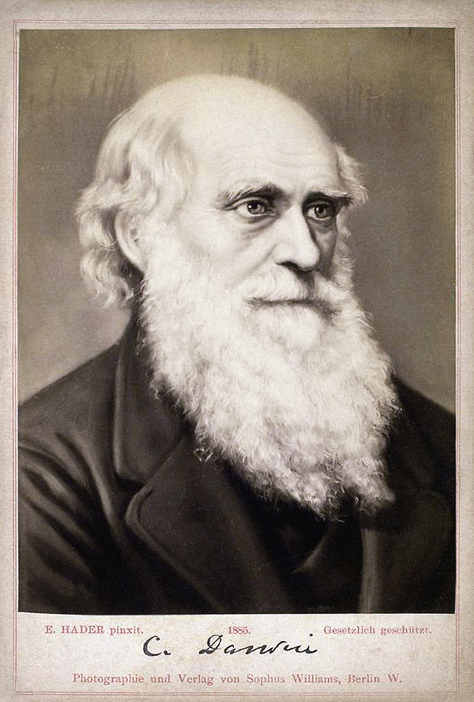 Portrait of Charles Darwin (1809-1882) de Ernst Hader