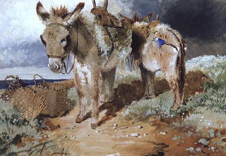 Donkeys de Erskine Nicol