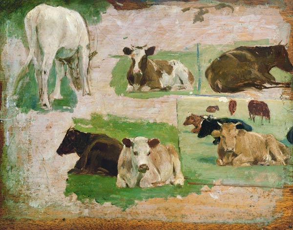 Study of Cows de Eugène Boudin