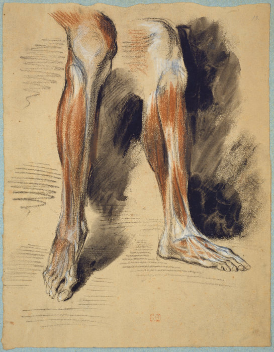 Studies of a right Leg de Eugène Delacroix