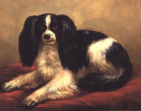 A King Charles Spaniel Seated on a Red Cushion de Eugène Joseph Verboeckhoven
