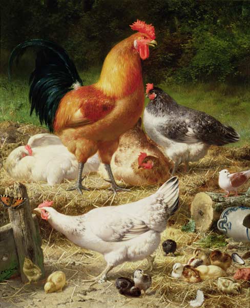 Chickens de Eugène Remy Maes