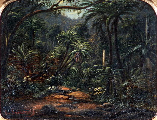 Ferntree Gully in the Dandenong Ranges, 1857 (oil on canvas on cedar panel) de Eugene von Guerard
