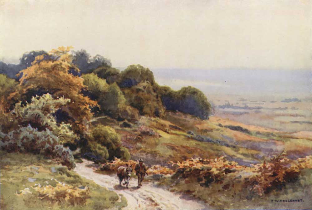 Burley Moor de E.W. Haslehust