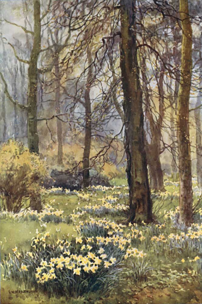The Wilderness in Spring de E.W. Haslehust