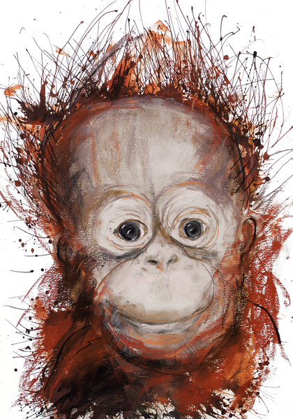 Orangutan de Faisal Khouja