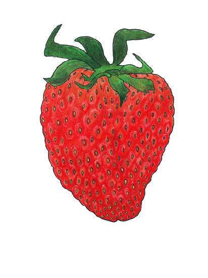 Strawberry 3