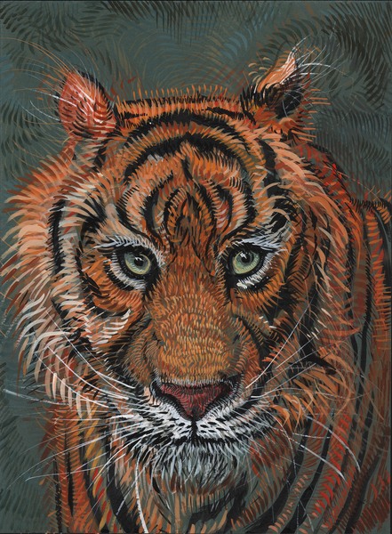 Tiger 2 de Faisal Khouja