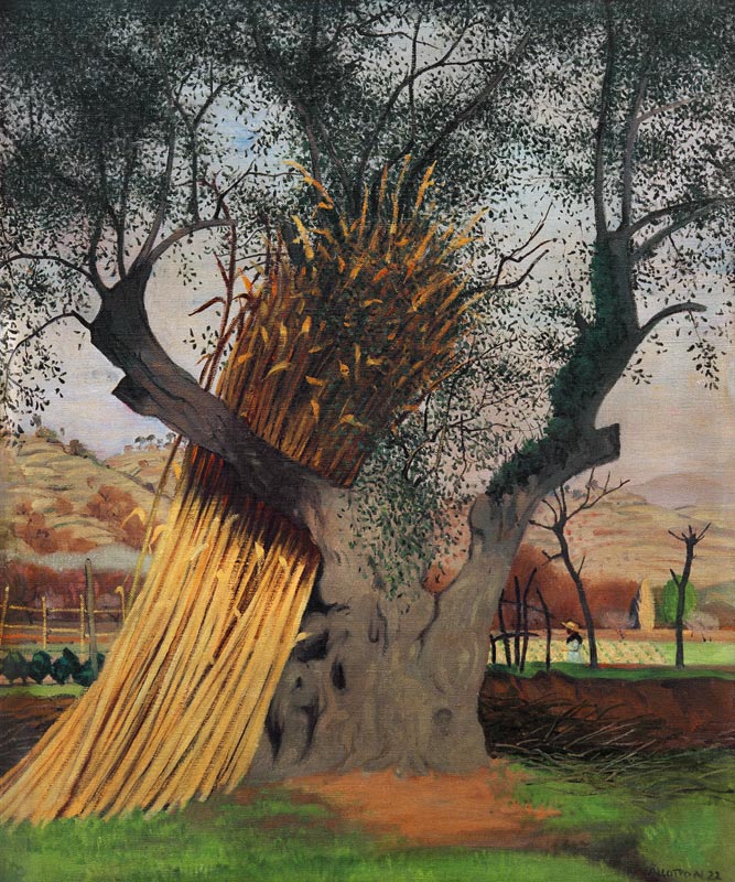The Old Olive Tree de Felix Vallotton