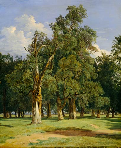 Elm trees in Prater de Ferdinand Georg Waldmüller