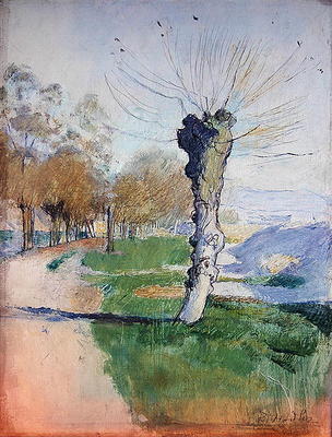 Willow Tree at the Junction, or Willow Tree in Spring, 1884 (oil on canvas) de Ferdinand Hodler