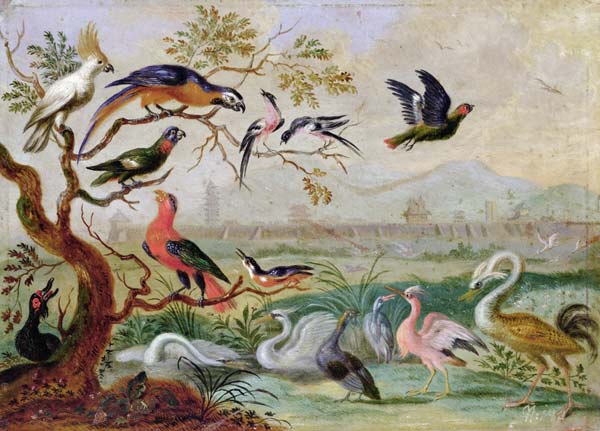 Birds from the Four continents in a landscape with a view of Peking in the background de Ferdinand van Kessel