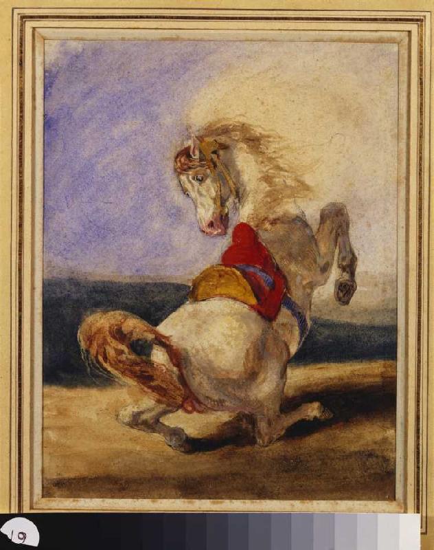 Aufbäumendes Pferd. de Ferdinand Victor Eugène Delacroix