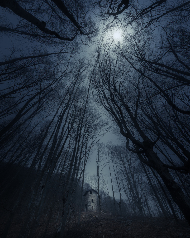 Moon Watchtower de Filippo Manini