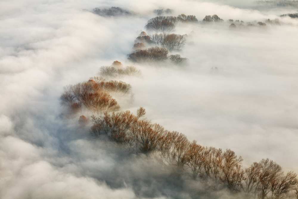 Foggy valley de Fiorenzo Carozzi
