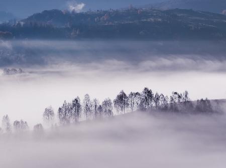 Foggy morning