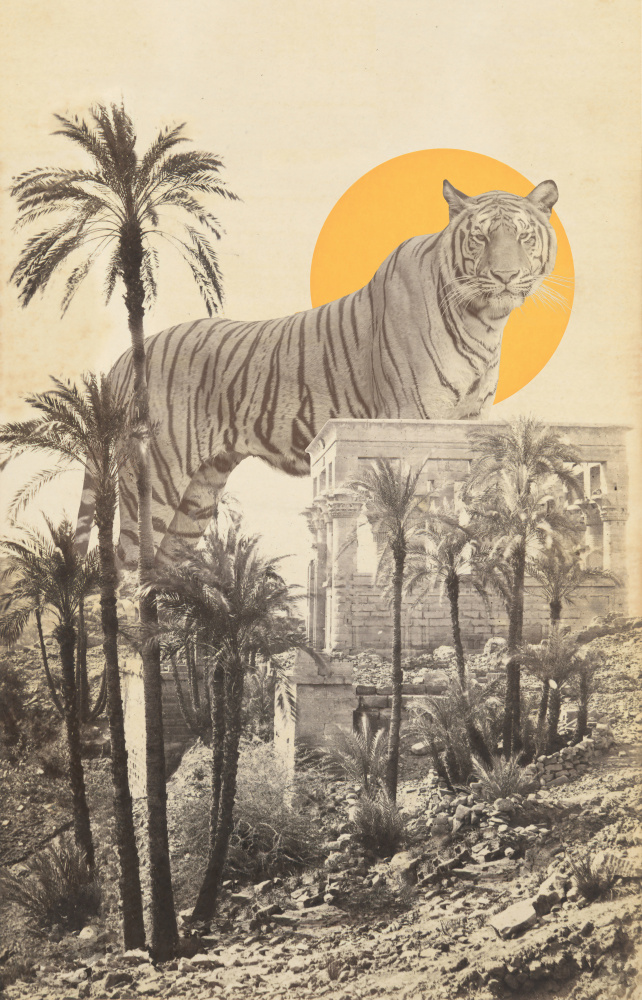 Giant Tiger In Ruins de Florent Bodart