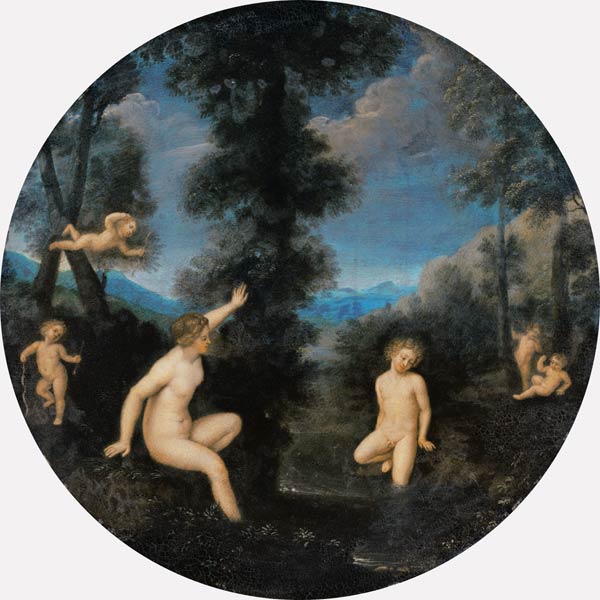 The Nymph Salmacis and the Hermaphrodite de Francesco Albani