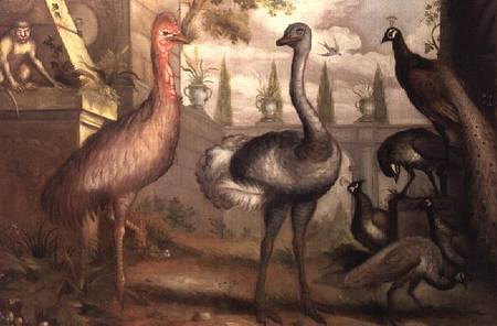 Collection of Birds de Francis Barlow